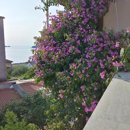 Luna Tsuki Seven Aparthotel Rovinj Exteriör bild